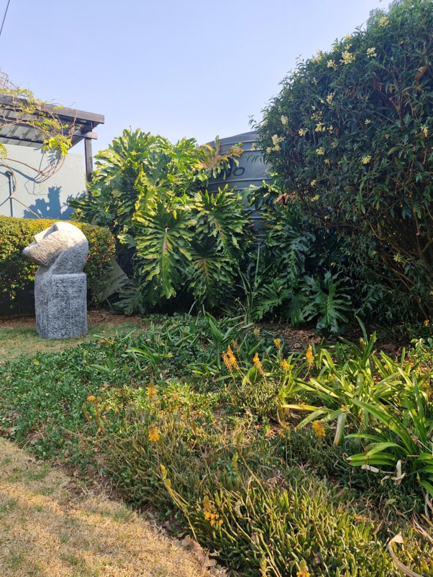 יוהנסבורג B&B On Buckingham Guest House מראה חיצוני תמונה